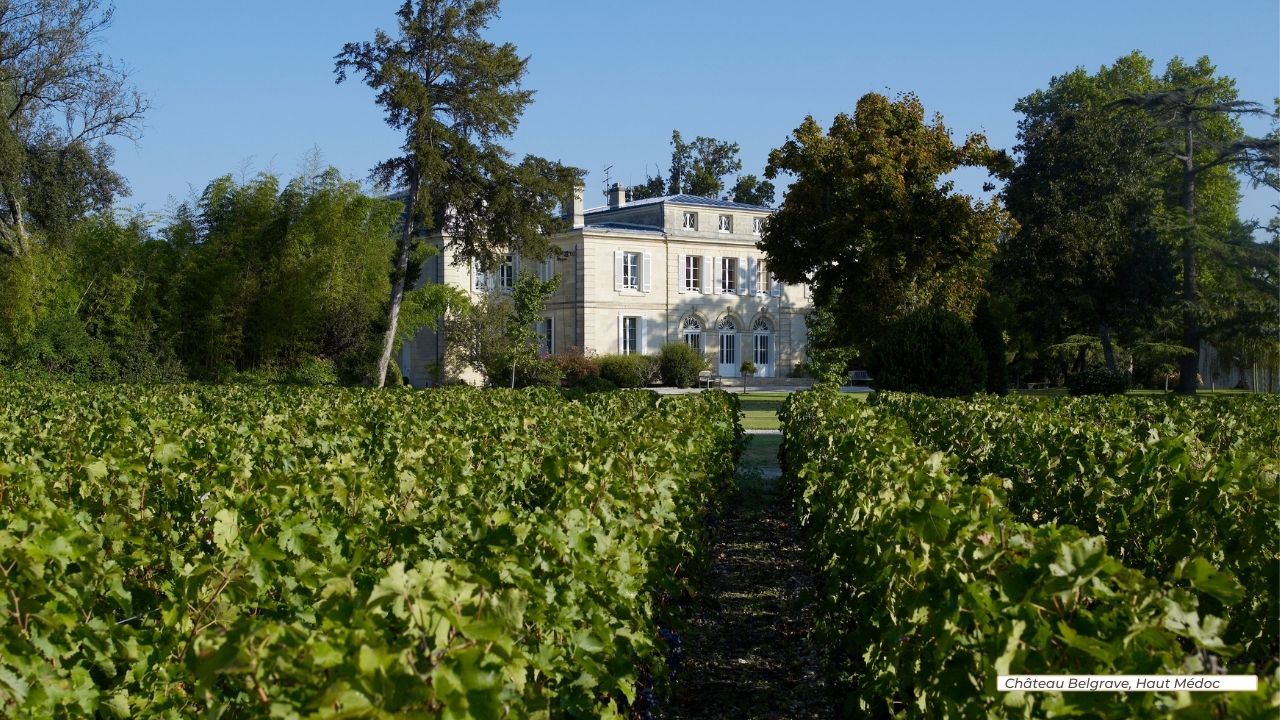 Arvitis_Vignobles_560 ha_Bordeaux_Chateau Belgrave